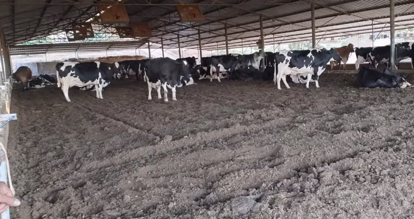 Fazenda à venda na Área Rural de Pará de Minas, Pará de Minas 