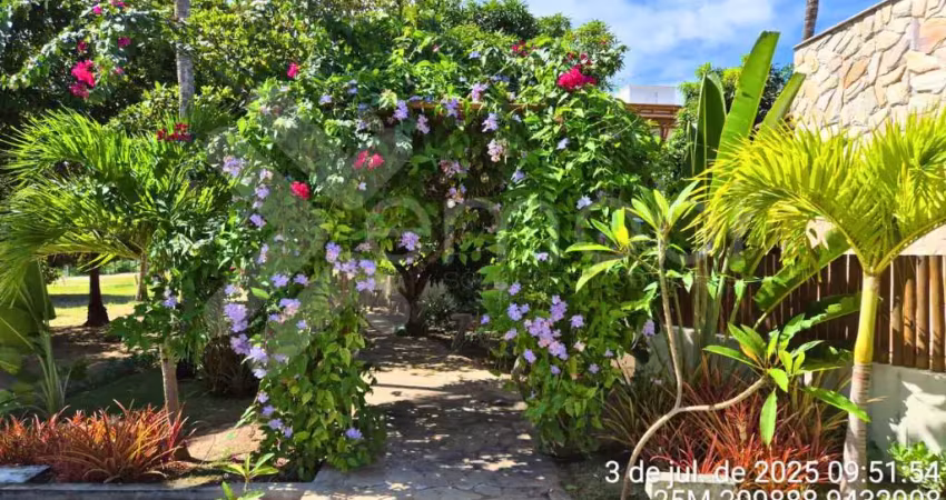 Lote à venda em são miguel do gostoso | vela santo cristo | 282m²