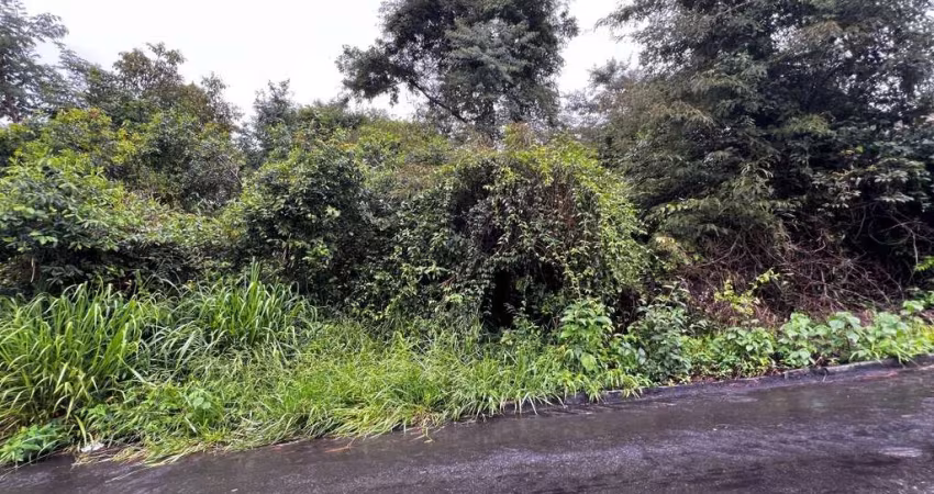 Terreno à venda em Conselheiro Lafaiete-MG: Lote no bairro Expedicionários com 360 m² de área