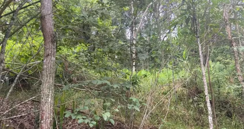 Chácara / sítio à venda na Vila Thais, Atibaia 