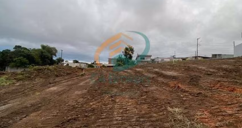 Terreno em Chácara Águas da Pedra  -  Itaquaquecetuba