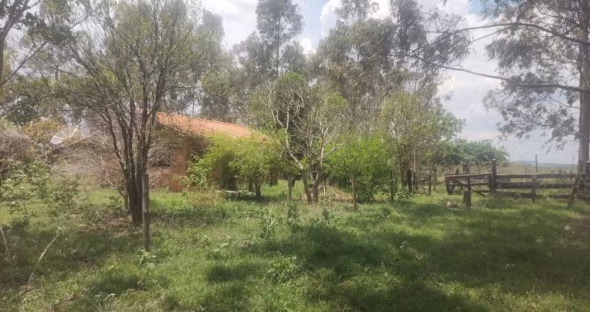 Chacara de 8.5 hectares.  12 km da BR.