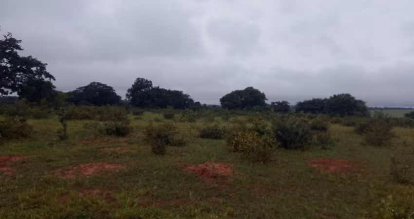 Chacara de 10 hectares.  Com Córrego.