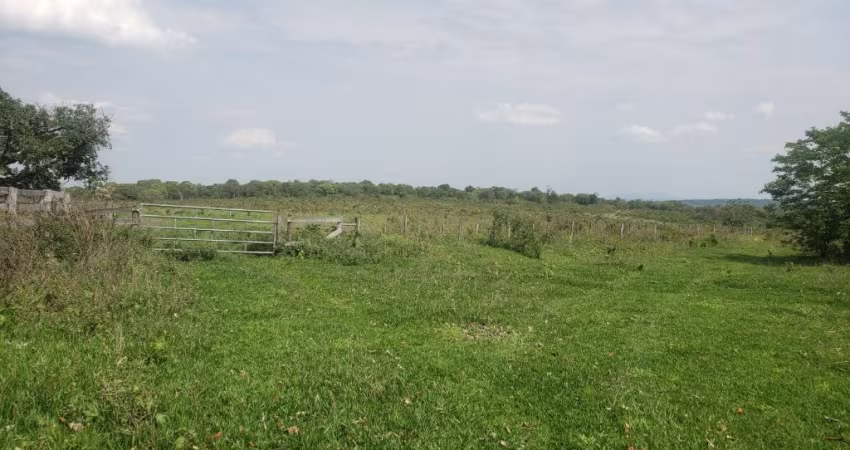 Oportunidade 103 hectares.  R$3.500.000,00
