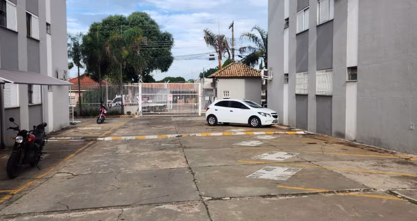 Oportunidade.  Investidor.