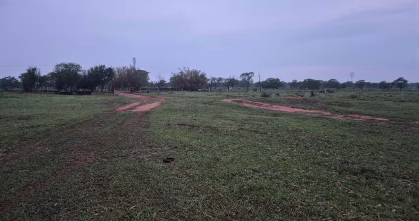 Oportunidade.  9.4 hectares.  1 km da BR.