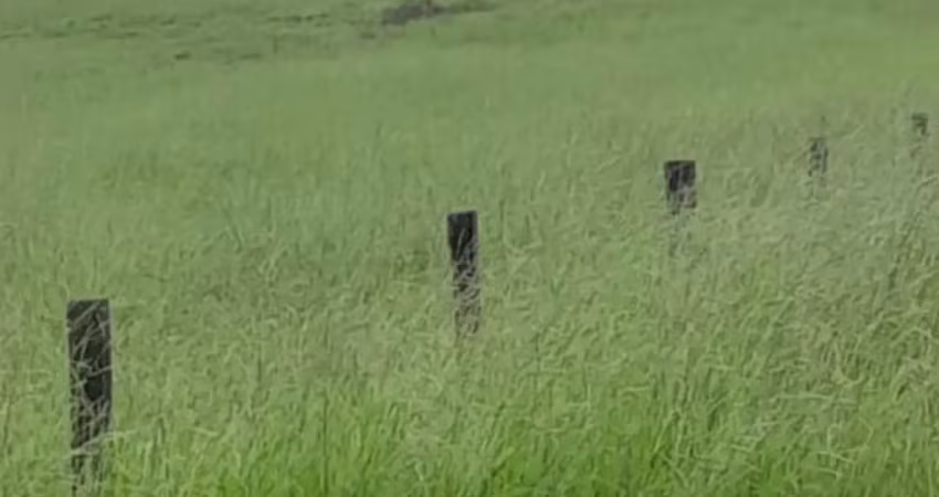 Fazenda de 284 hectares.  25 km da br.  pecuária. camapua....