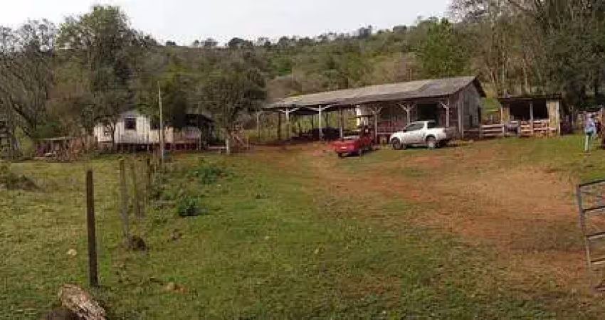 Fazenda à venda, 28,5 alqueires, pinhal grande, laranjal/pr