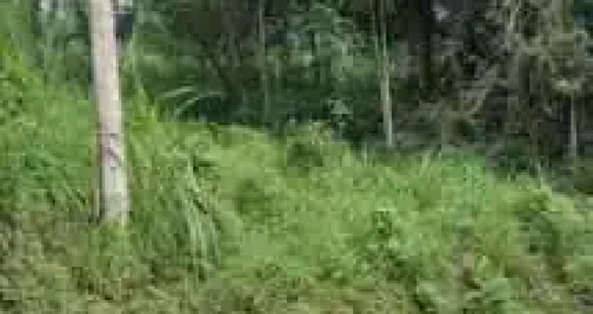 Lote com 656,6m2 no bairro da velha em blumenau- sc