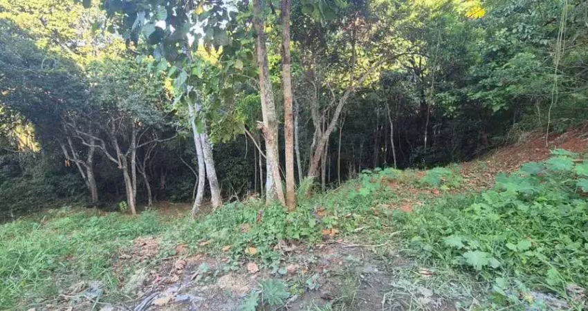 Terreno comercial à venda na Cabeçudas, Itajaí 