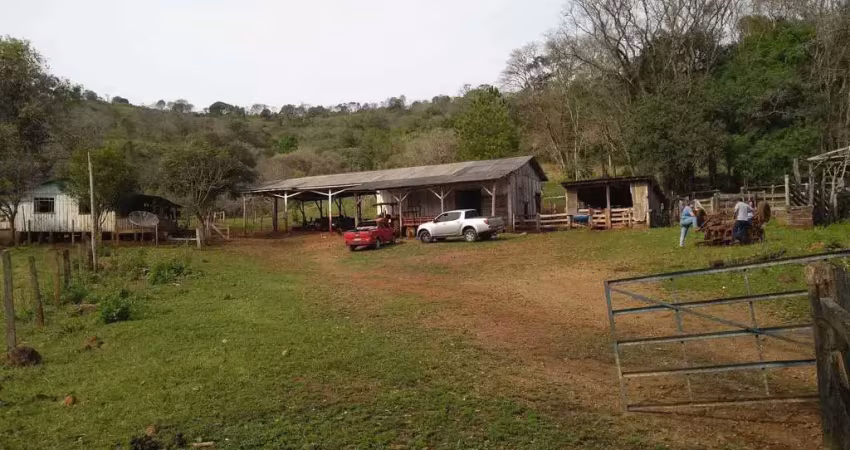 Fazenda com 2 dormitórios em pinhal grande - laranjal