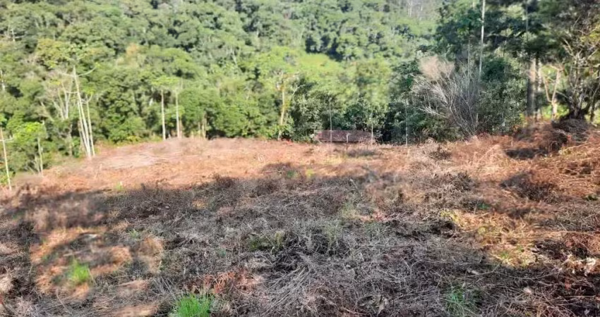 Terreno rural com 3.000 m² no bairro alto pitanga, nova trento/sc