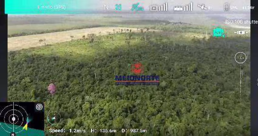FAZENDA À VENDA EM AÇAILÂNDIA-MA
