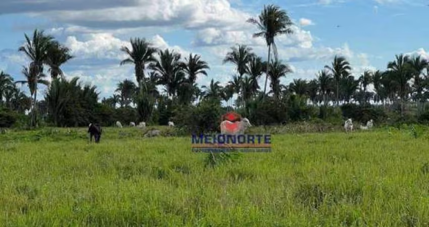 Fazenda com 1 dormitório à venda, 14400000 m² por R$ 2.500.000,00 - Arari - Zona Rural - Arari/MA