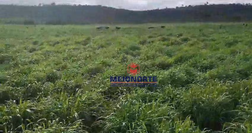 Fazenda com 1 dormitório à venda, 10000 m² por R$ 37.400.000,00 - Centro - Bom Jesus das Selvas/MA