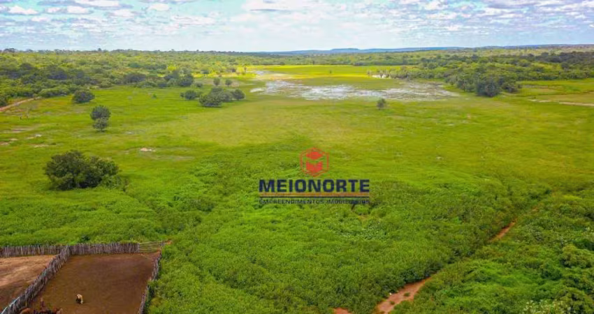 Fazenda com 1 dormitório à venda, 99000000 m² por r$ 24.750.000,00 - centro - morro cabeça no tempo/pi