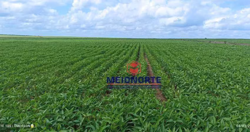 Fazenda com 1 dormitório à venda, 30250000 m² por R$ 100.000.000,00 - Santa Filomena - Santa Filomena/PI