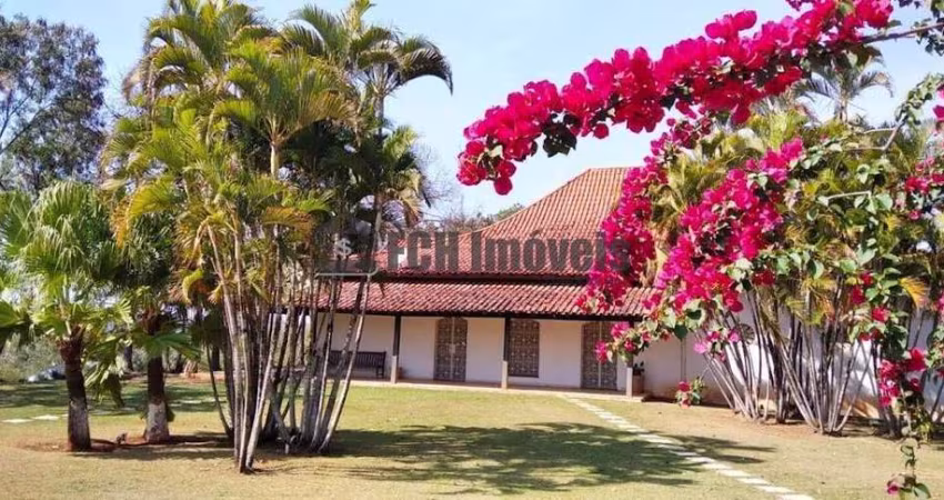 Haras no Soamin em Porto Feliz