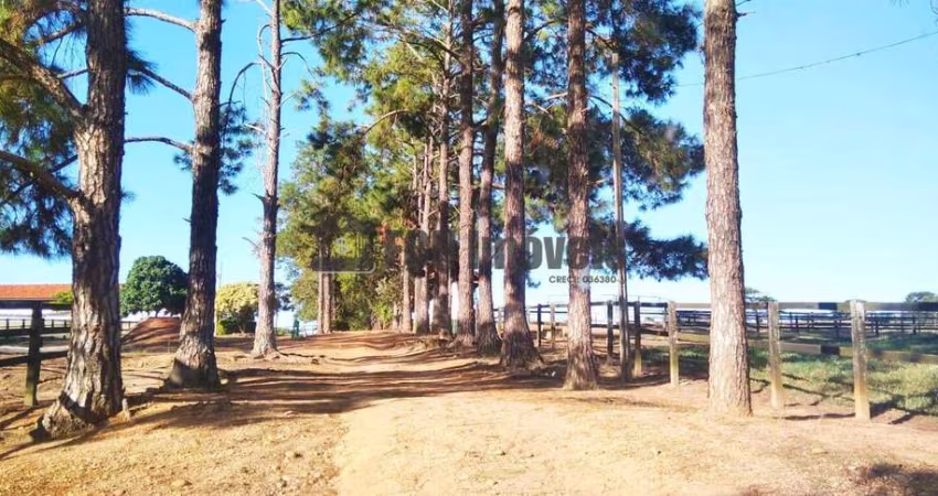 Haras no Chapadão em Porto Feliz