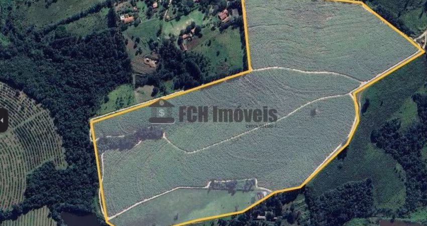 Sítio Rural no Avecuia do Alto em Porto Feliz
