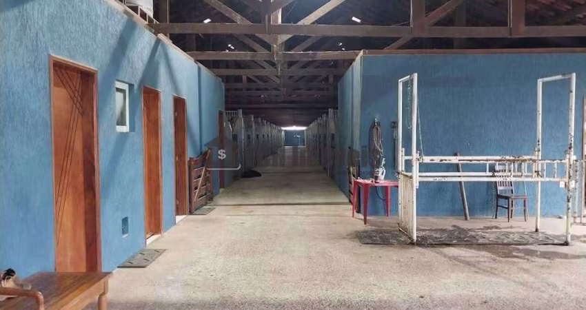 Haras no Jardim Santo Antônio em Quadra