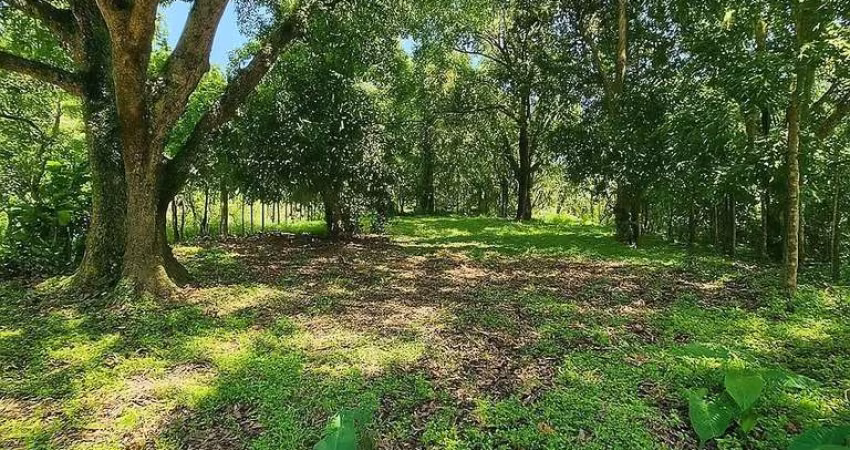 Terreno para Venda em Saquarema, Serra de Mato Grosso (Sampaio Correia)