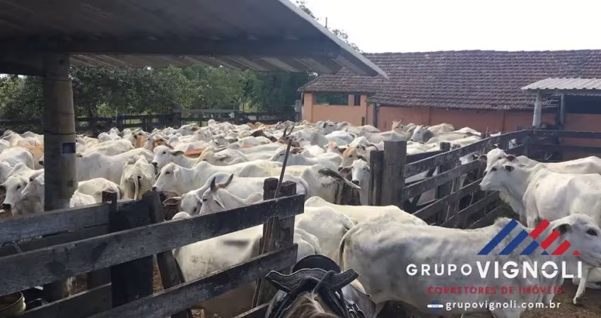 Fazenda para venda em araruama, monteiro (são vicente)