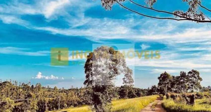 Sítio à venda, 30000 m² por R$ 450.000,00 - Joaquim Egídio - Campinas/SP