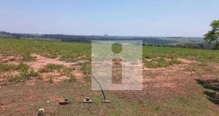 Terreno à venda, 1200 m² por R$ 1.200.000,00 - Loteamento Residencial Entre Verdes (Sousas) - Campinas/SP