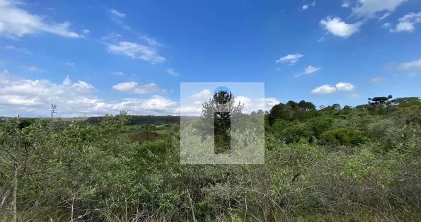 Terreno à venda, 20000 m² por r$ 700.000,00 - joaquim egídio - campinas/sp