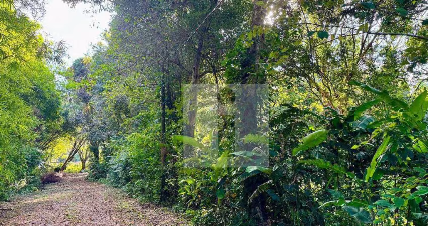 Terreno à venda, 355 m² por R$ 355.000,00 - Parque Jatibaia (Sousas) - Campinas/SP