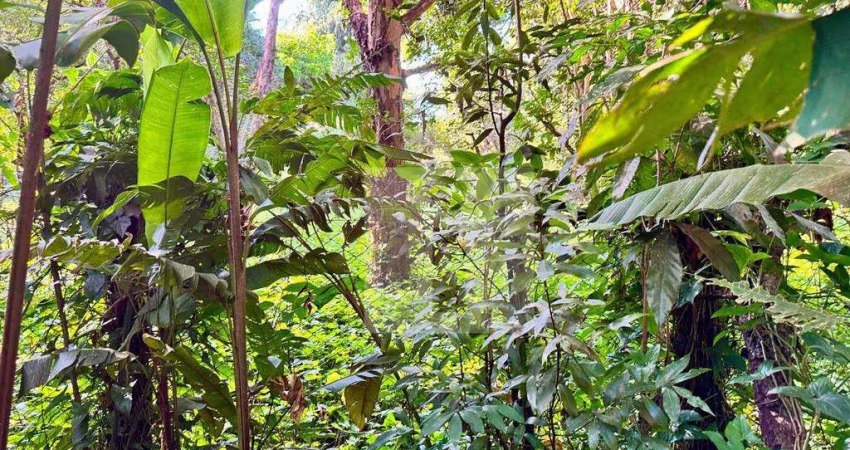 Terreno à venda, 564 m² por R$ 564.000,00 - Parque Jatibaia (Sousas) - Campinas/SP