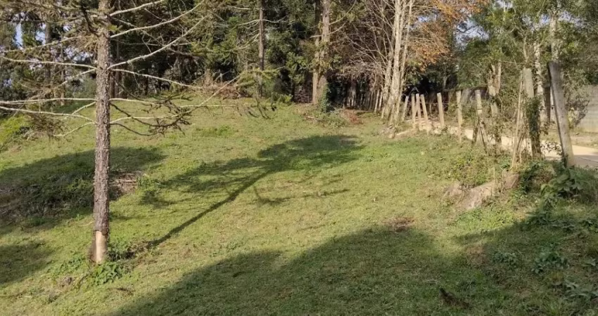 Chácara 3 km da estrada da Ribeira, com 31 mil metros quadrados