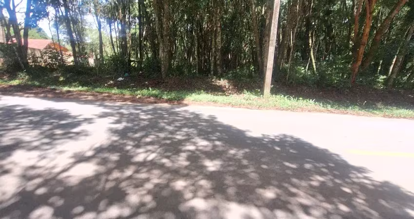 Vendo chácara  de frente para o asfalto 200 metros da estrada da ribeira