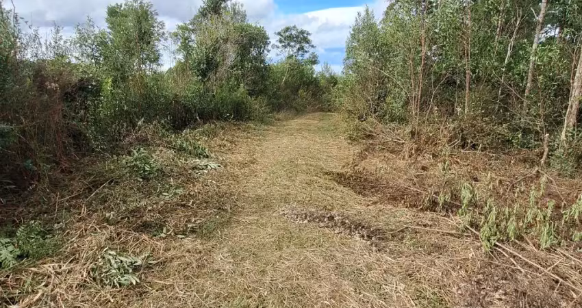 Chácara 3 km do asfalto com rio/ Campina Grande do Sul