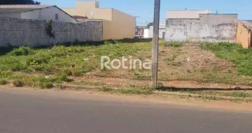Terreno à venda na Rua Agnelo Fagundes da Costa, --, Shopping Park, Uberlândia