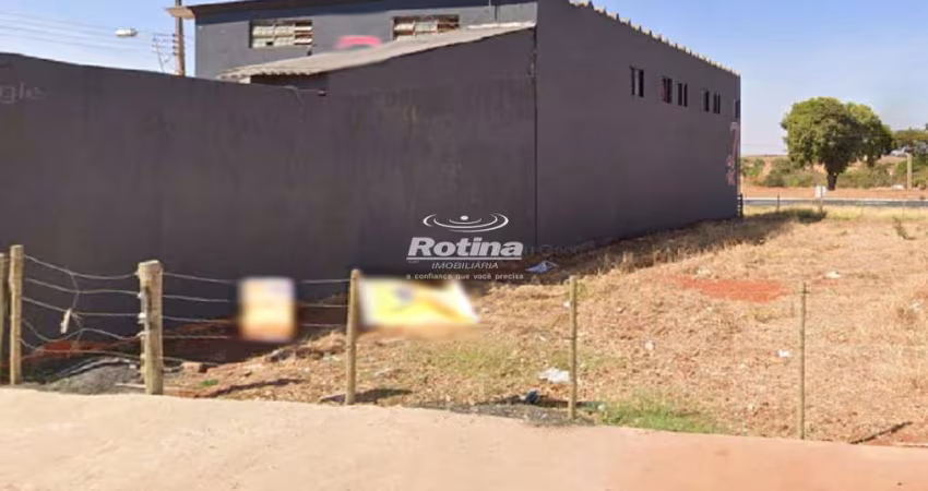 Terreno à venda, Segismundo Pereira - Uberlândia/MG - Rotina Imobiliária