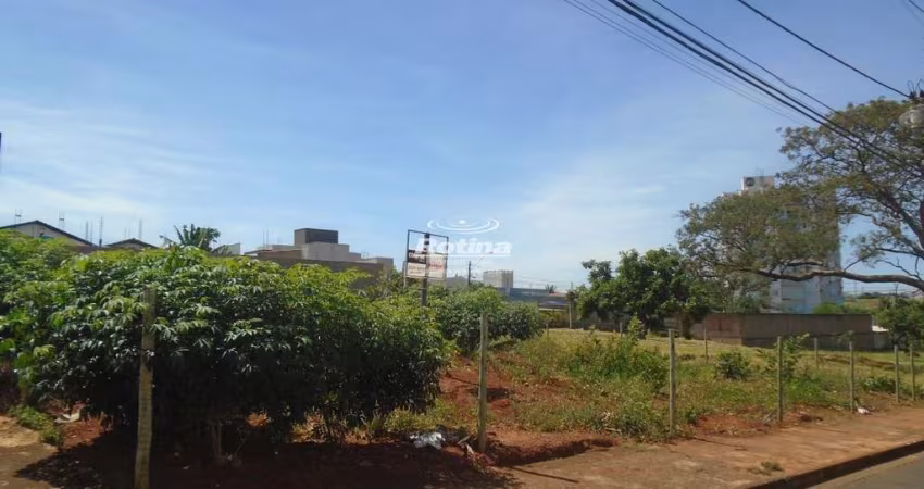 Terreno à venda, Bosque dos Buritis - Uberlândia/MG - Rotina Imobiliária