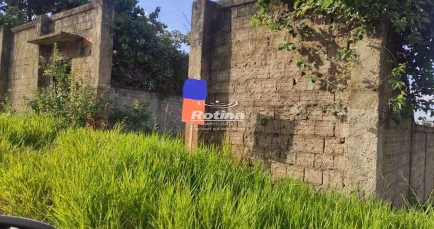 Terreno à venda, Jardim Karaíba - Uberlândia/MG - Rotina Imobiliária