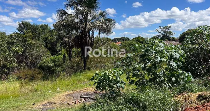 Terreno à venda, Nossa Senhora das Graças - Uberlândia/MG - Rotina Imobiliária