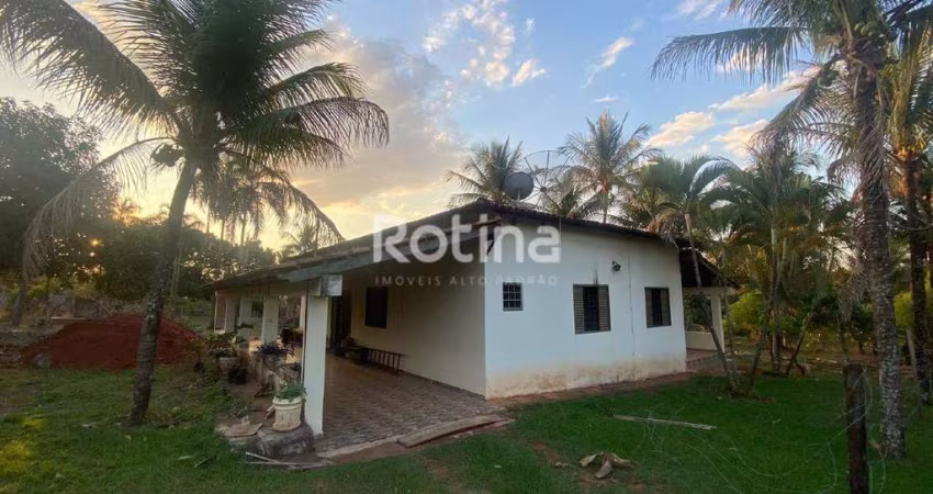 Chacara à venda, 2 quartos, Jockey Camping - Uberlândia/MG - Rotina Imobiliária