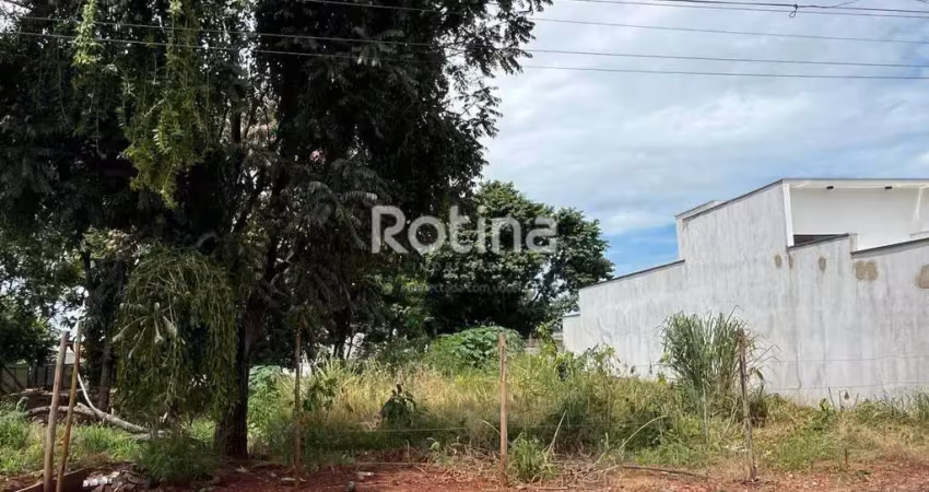 Terreno à venda, cidade jardim - uberlândia/mg - rotina imobiliária
