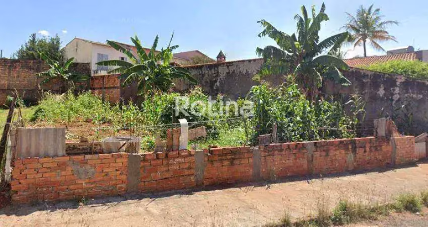 Terreno à venda, jardim patrícia - uberlândia/mg - rotina imobiliária