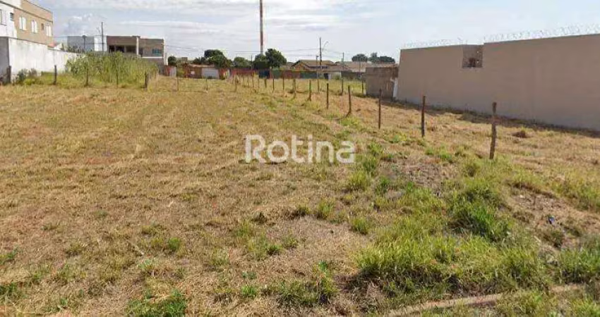 Terreno à venda, jardim ipanema - uberlândia/mg - rotina imobiliária
