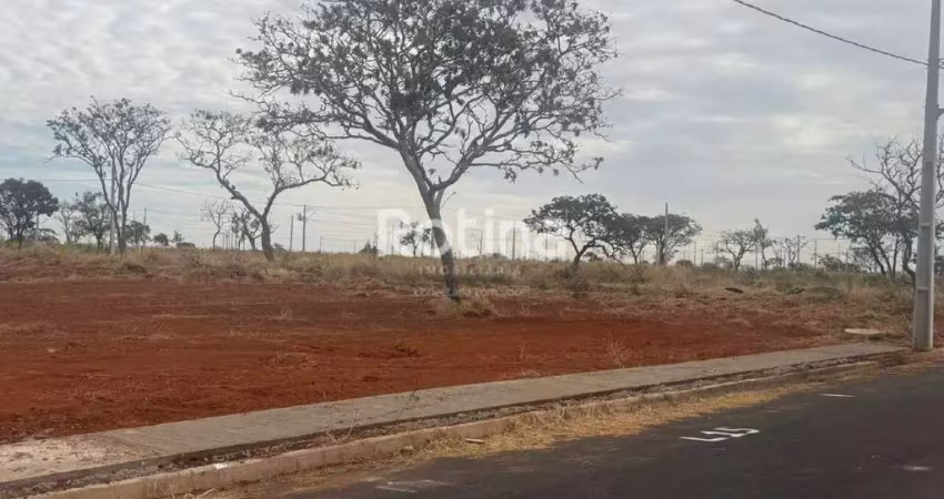 Terreno à venda, loteamento luizote de freitas iv - uberlândia/mg - rotina imobiliária