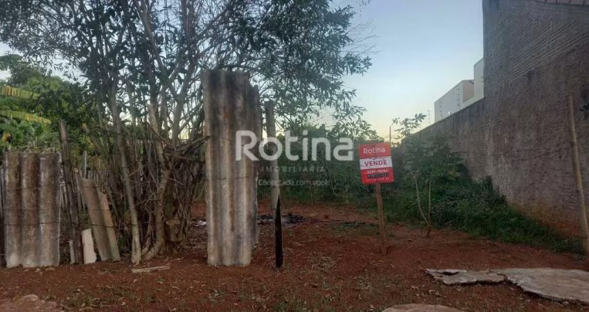 Terreno à venda, Santa Luzia - Uberlândia/MG - Rotina Imobiliária