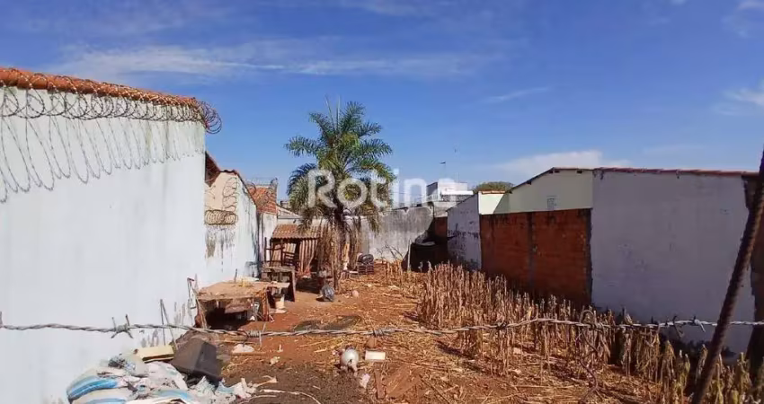 Terreno à venda, jardim das palmeiras - uberlândia/mg - rotina imobiliária