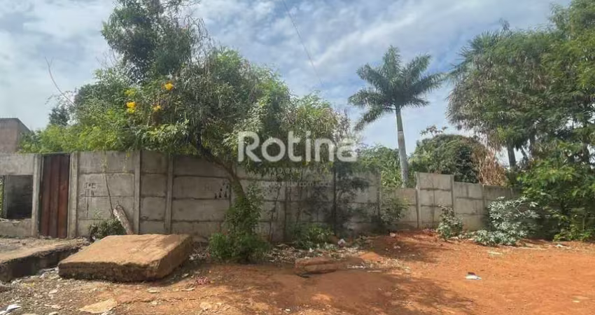 Terreno à venda, carajás - uberlândia/mg - rotina imobiliária