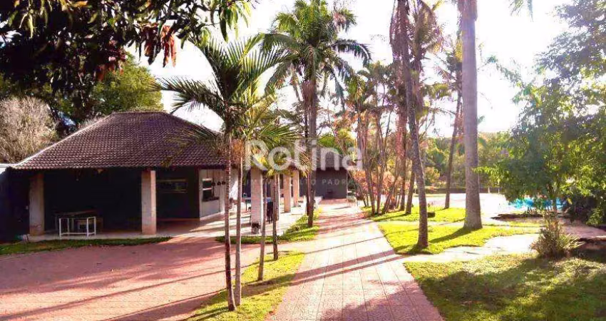 Chacara à venda, 2 quartos, patrimônio - uberlândia/mg - rotina imobiliária