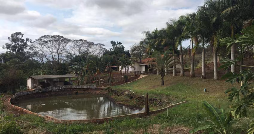 Sítio para Venda em Santa Amélia, Santa Amélia, 3 dormitórios, 2 banheiros, 8 vagas